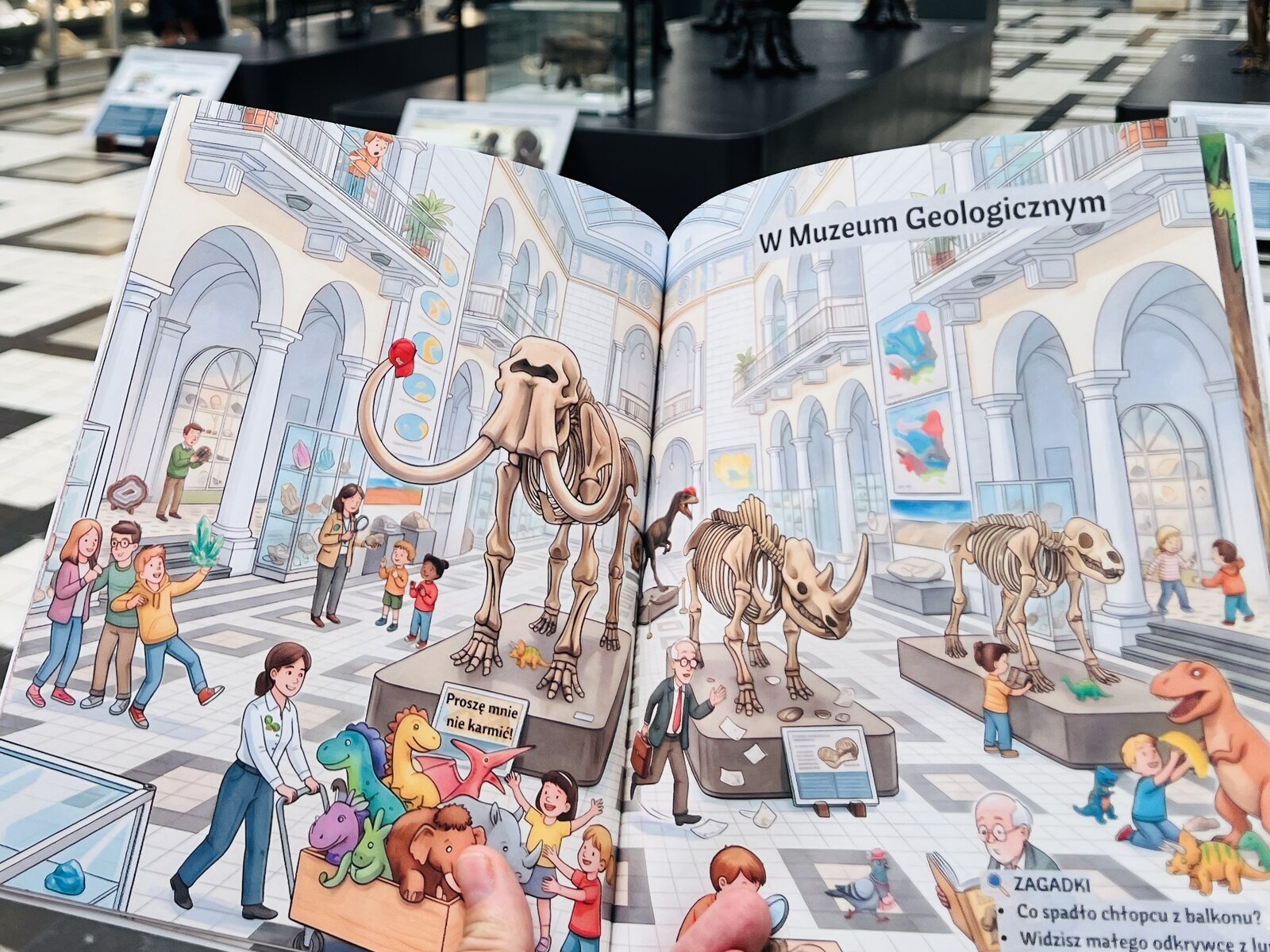 Rozkładówka książki z Muzeum Geologicznym i zadaniami do odnalezienia